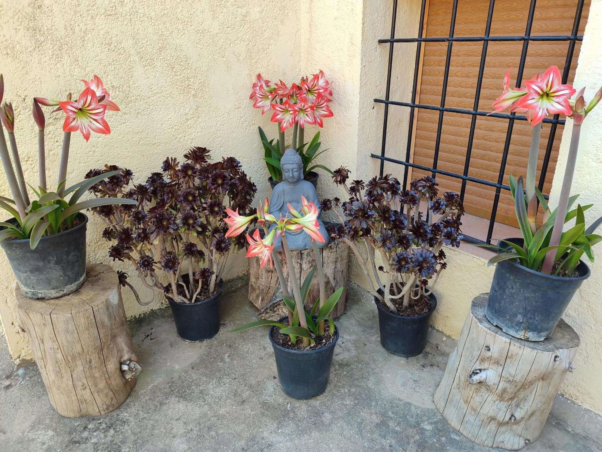 Vila Vivienda Rural Belen Pozo Alcón Pokoj fotografie